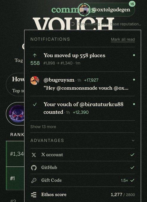 A mobile screenshot of an interface titled 'VOUNCH' by @oxtolgagegen, showing notifications that the user moved up 558 places and received vouch notifications from @bugraysm and @birataturkcu88.