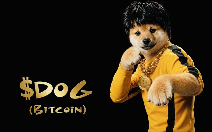 A Shiba Inu dog wearing a yellow tracksuit and a Bitcoin medallion necklace, styled as a rapper next to the gold text '$DOG (Bitcoin)'.