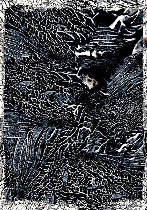 An abstract, high-contrast black-and-white textured image resembling cracked, wrinkled terrain or organic patterns with a distressed white border.