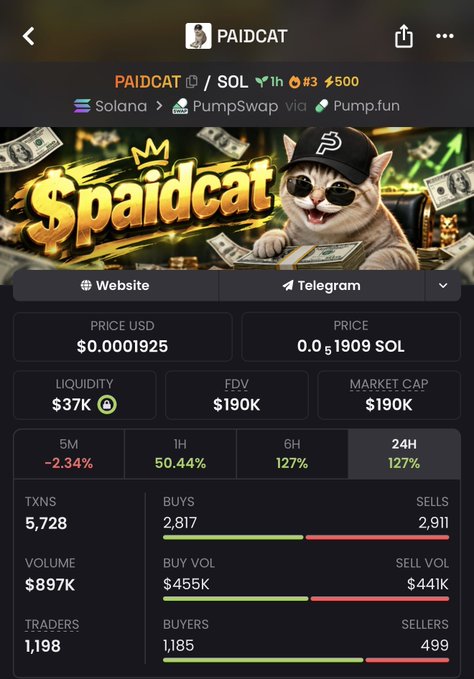 A Pump.fun token page for $paidcat on Solana showing a price of $0.0001925, market cap of $190K, liquidity of $37K, and performance metrics including +50.44% (1H) and +127% (6H and 24H).
