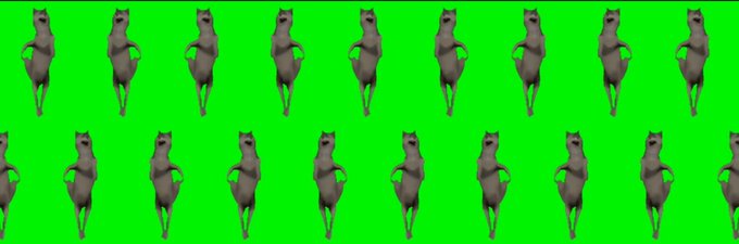 A green screen video frame showing a repeating pattern of a Shiba Inu dog standing on its hind legs, arranged in two rows.
