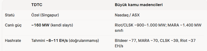 The image is a comparison table showing TDTC's mining operations (~160 MW capacity, private/Singapore-based, with an unverified 8-11 EH/s hash rate) against major public Bitcoin miners like Riot, CLSK, MARA, and Bitdeer (Nasdaq/ASX-listed, with significantly larger capacities of 900-1,400 MW and confirmed hash rates of 37-77 EH/s), illustrating TDTC's relatively small scale in the public mining sector.
