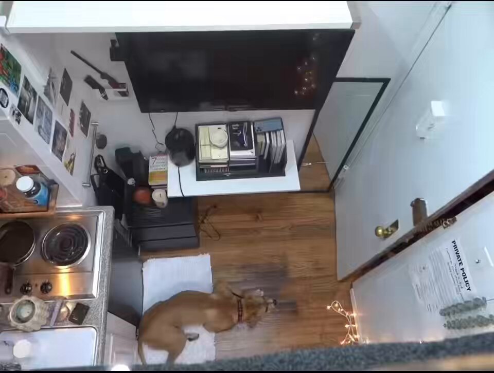 urns, bookshelves, and a television are arranged on the walls of a cozy kitchen with wooden floors and white cabinets.
