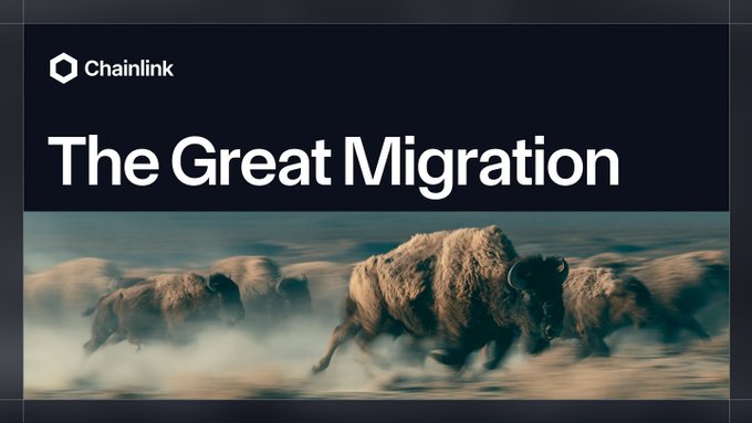 The image features a dramatic scene of a herd of bison charging through dust, visually representing the "Great Migration" of $15 billion in value to Chainlink CCIP as legacy cross-chain providers are deprecated by top protocols.
