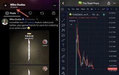 A split-screen view showing a Twitter post by 'Mike Dudas' about '$TOS' alongside a live chart for 'The Toshi Pope' (TOSHI/USD) displaying a significant downward trend.