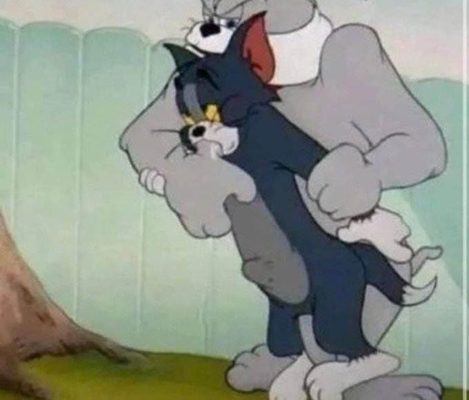 An animated scene showing Tom (gray cat) holding a struggling Tom (smaller black cat) by the scruff of its neck.