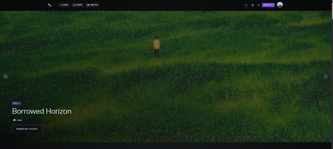A website screenshot titled 'Borrowed Horizon' showing a lone figure in a yellow top standing in an expansive green field, with navigation tabs including 'HOME', 'STORY', and 'IMPRESSIONS'.