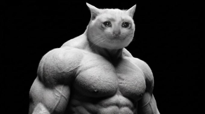 A muscular white cat with a serious expression flexes its exaggeratedly buff physique against a dark background, humorously embodying the "Buff Cat" meme to symbolize the robust strength and unstoppable momentum of $CASHCAT as it breaks previous highs toward a billion-dollar valuation.