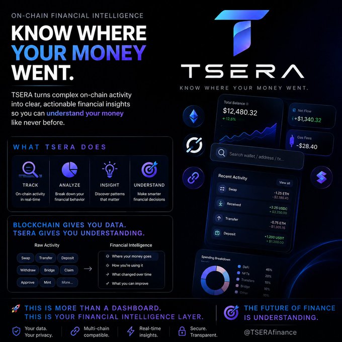 A promotional graphic for TSERA, an on-chain financial intelligence tool, featuring the text 'KNOW WHERE YOUR MONEY WENT.' along with sections detailing 'WHAT TSERA DOES' (Track, Analyze, Insight, Understand) and showcasing a financial dashboard with Total Balance of $12,480.32.