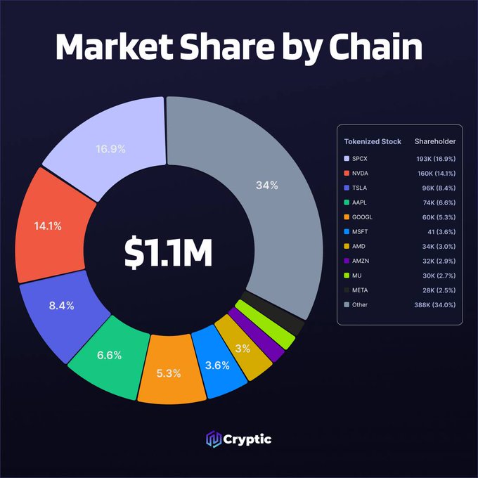 A donut chart titled "Market Share by Chain" displays a total of $1.1M in tokenized stock holdings, led by SPCX (16.9%), NVDA (14.1%), TSLA (8.4%), and AAPL (6.6%), with "Other" representing 34% of the market. The graphic, branded by Cryptic, visually reinforces the post's message by illustrating how a diverse, expanding base of over 1 million tokenized stockholders—spanning major equities from tech giants like Microsoft, Amazon, and AMD—reflects growing retail exposure to tokenized assets beyond mere trading activity.
