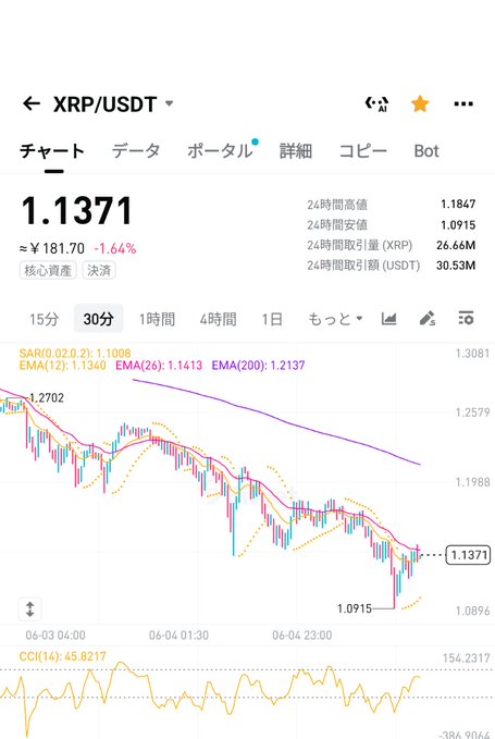 The image shows a line graph displaying an uptrend for Bitcoin, as well as another steep decline shown in blue at the bottom right corner of the graph, indicating possible pessimism within the cryptocurrency market. A caption on the image explains that veteran holders know what happens to XRP after the market plunges, potentially foretelling more pain and suffering for users if there is a bigger crash followed by a massive surge toward crypto heaven.