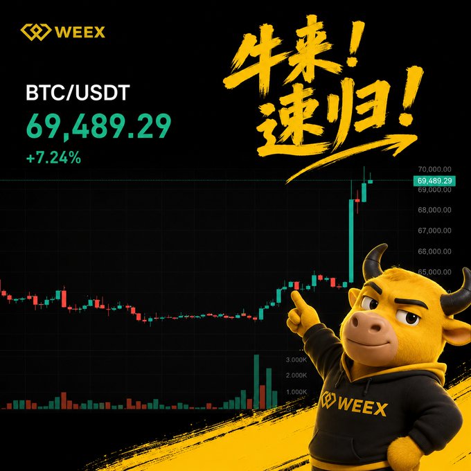 WEEX cryptocurrency advertisement showing a BTC/USDT price of 69,489.29 with a +7.24% increase, featuring a yellow bull mascot pointing at a candlestick chart and Chinese text translating to 'Bulls are back!'
