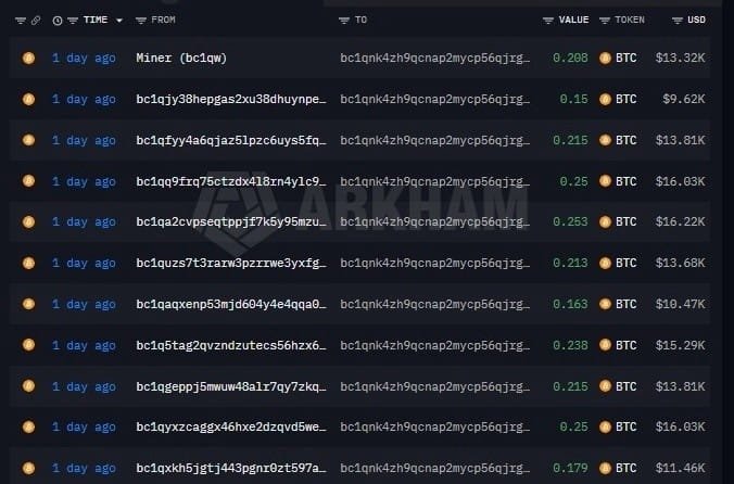A blockchain transaction history from 'DARKHAM' showing multiple Bitcoin transactions '1 day ago' with various amounts ranging from 0.163 to 0.253 BTC, sent from addresses starting with 'bc1q' to 'bc1qnk4zh9qcnap2mycp56qjtg...'.