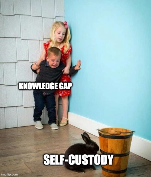 The image is a meme using the "Kids Scared of Rabbit" format, where two crying children labeled "KNOWLEDGE GAP" are being frightened by a small black rabbit labeled "SELF-CUSTODY." It humorously illustrates the post's point that Bitcoin self-custody seems intimidating only until you educate yourself and close the knowledge gap, after which it becomes as harmless as a bunny.