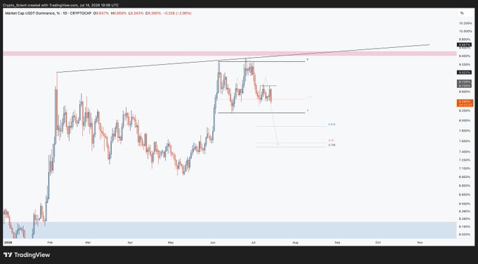 A TradingView daily chart of Market Cap USDT Dominance (CRYPTOCAP:USDT.D) at 8.643% (-2.366%), showing a descending trendline resistance near 9.1% and horizontal support levels around 8.7% and 8.1%, with marked measured targets at 0.705 and 0.795 Fibonacci extensions suggesting further downside — visually reinforcing the post's claim that a retest of lower range lows (RLs) appears inevitable given the topping price action beneath resistance.