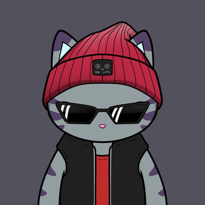 A cartoon-style illustration depicts a gray tabby cat wearing a red beanie with a "BAD CATS" patch, dark sunglasses, a red shirt, and a black vest against a plain gray background.