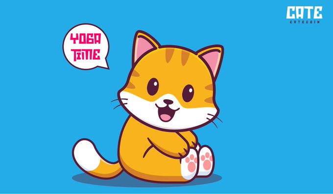 The image features a cheerful cartoon orange tabby cat with a speech bubble reading "4080 TIME" alongside the "CATE - CATECOIN" logo, visually representing the CateCoin ($CATE) project mentioned in the post about building on BNB Chain's ecosystem.