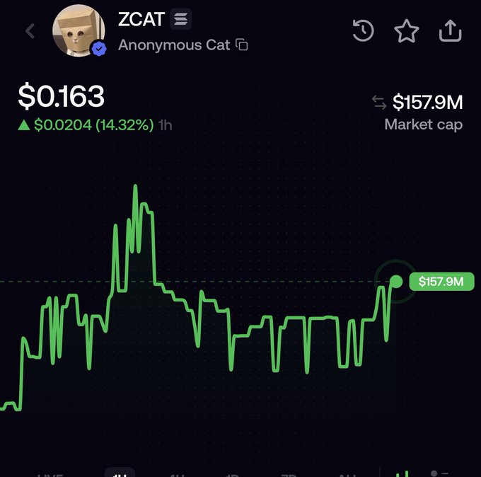 A cryptocurrency tracking screen displays the ZCAT token ("Anonymous Cat") priced at $0.163, showing a 14.32% increase ($0.0204) over the past hour, with a market cap of $157.9M, supporting the post's claim that "Billions are coming" since the token, whose chart shows volatile upward momentum, is rapidly approaching that milestone market cap.
