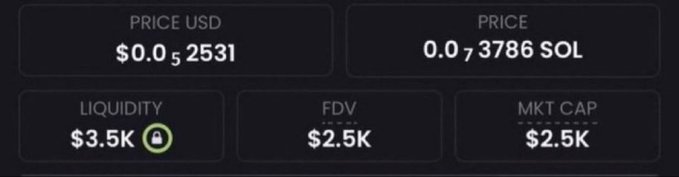 A cryptocurrency price display showing Price USD of $0.0₅2531, Price of 0.0₇3786 SOL, Liquidity of $3.5K, FDV of $2.5K, and MKT CAP of $2.5K.