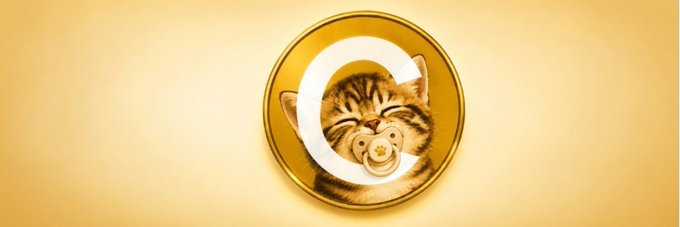 A cute tabby kitten with closed eyes and a pacifier, framed within a golden coin featuring a white circular logo on a yellow background.