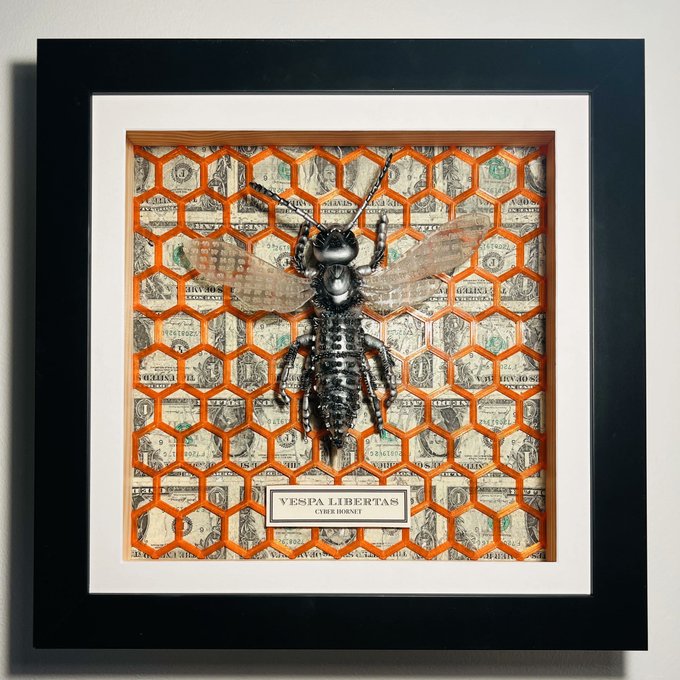 A framed mixed-media artwork featuring a metallic wasp sculpture mounted over a honeycomb-patterned background of repurposed US one-dollar bills, with a plaque reading 'VESPA LIBERTAS CYBER HORNET'.