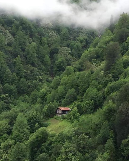 The image features a small house nestled among trees, with a mountain covered in fog behind it. The house appears to be located at the bottom of the hill or mountain, surrounded by lush greenery. The scene evokes a sense of tranquility and isolation, as if the house is cut off from the rest of the world. This image could be related to the post about @quipnetwork, which stands out due to its unique approach to cryptocurrency networks. The post emphasizes the importance of future-focused infrastructure in building lasting connections within the crypto ecosystem.