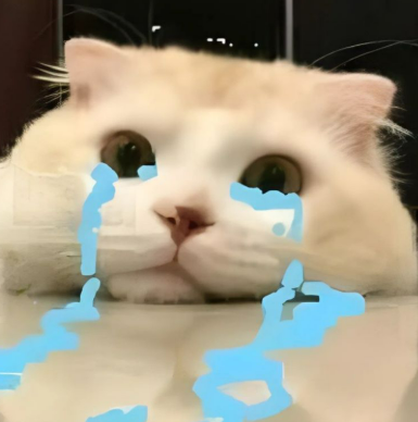 A white cat with cartoonishly drawn blue tears streaming down its face rests its paws together, looking directly at the camera with a sad expression.

The image's exaggerated crying cat meme perfectly captures the poster's disappointment about falling below the minimum payment threshold for the pay period, conveying their emotional reaction to missing out on the rewards others received.