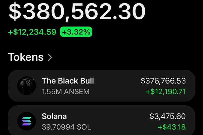 A portfolio overview showing a total balance of $380,562.30, up +$12,234.59 (+3.32%), with holdings including 'The Black Bull' (1.55M ANSEM) at $376,766.53 and Solana (39.70994 SOL) at $3,475.60.