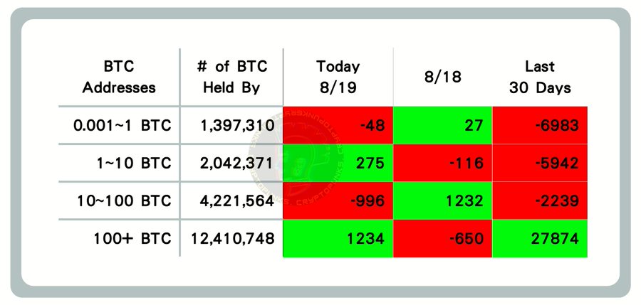 A Bitcoin on-chain data table dated 8/19 shows BTC address distribution by holdings, highlighting that 100+ BTC whale wallets increased by 1,234 addresses today and gained 27,874 new addresses over the past 30 days, supporting the post's claim of significant whale accumulation.