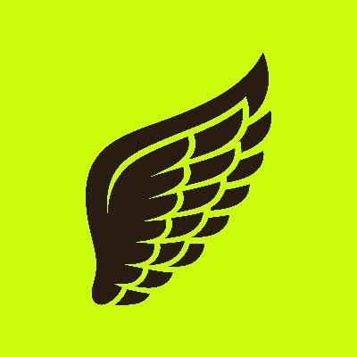 A black stylized angel wing logo set against a bright lime green background.