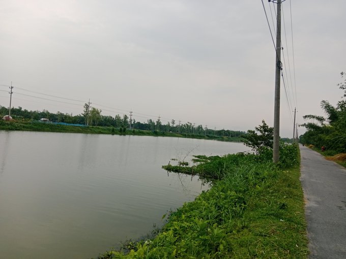 The image shows a serene scene of a lake surrounded by lush green grass, with power lines running across its surface. The sky above appears hazy, suggesting that it might be early morning or late afternoon when the sun's rays are not as strong. In the foreground, there is a path leading towards the water, and on the right side of the image, there is a post with text that reads "Good morning everyone Can I get GM back..?". The overall atmosphere seems calm and peaceful, with nature taking center stage in this picturesque setting.