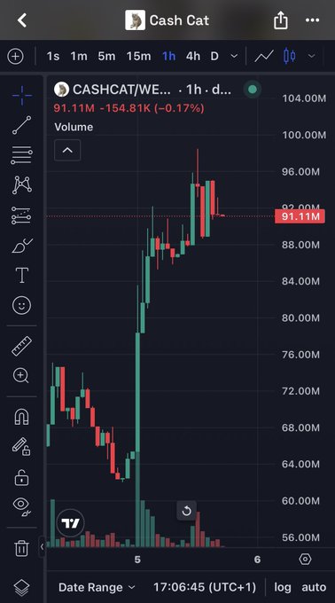 TradingView chart showing Cash Cat (CASHCAT/WE...) with 1-hour candles, currently priced at 91.11M (-0.17%) on a downward trend with declining volume.