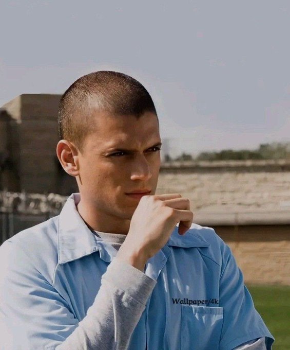 A young man with a shaved head wearing a light blue shirt, posing with his hand near his chin against an outdoor background, marked 'Wallpaper/4k'.