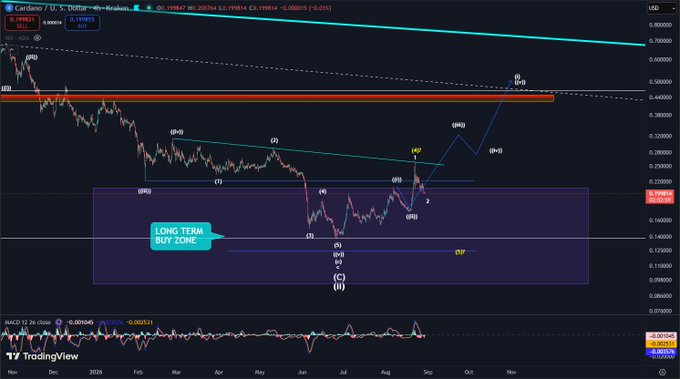 A TradingView technical analysis chart for Cardano/U.S. Dollar (ADA/USD) showing Elliott Wave labels and a highlighted 'LONG TERM BUY ZONE' in a purple rectangle.