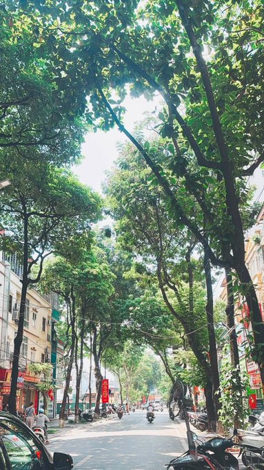 A scenic tree-lined street with lush green canopy overhead and motorbikes parked along the sidewalk.