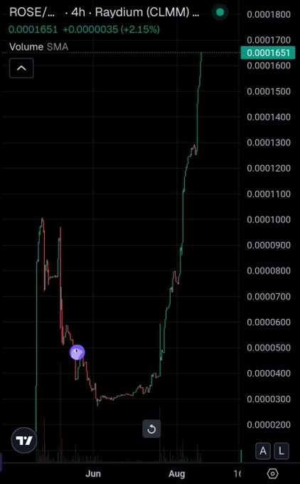 A cryptocurrency chart for 'ROSE' on a 4h Raydium (CLMM) pair showing price at 0.0001651 (+2.15%), with the price history displaying a significant recovery from a low point in June to current levels in August.