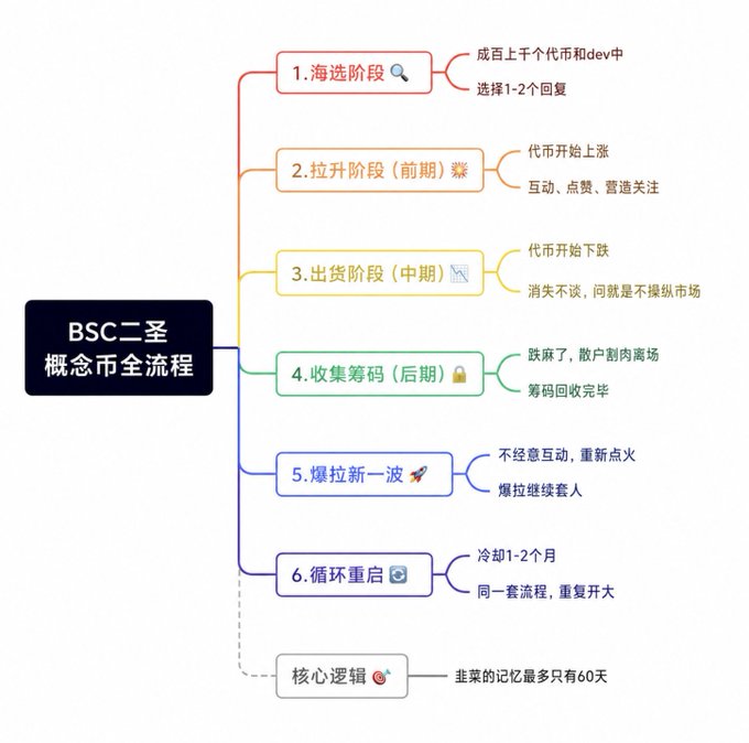 A flowchart titled "BSC二圣概念币全流程" outlines six sequential stages of a meme coin lifecycle on BSC, ranging from initial selection ("海选阶段") through pumping, dumping, retracement, re-hype ("爆拉新一波"), and restarting the cycle, anchored by the core principle that market memory lasts at most 60 days.