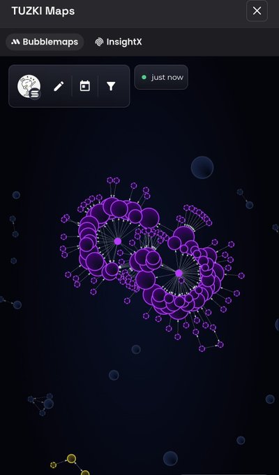 A digital interface displays a 'TUZKI Maps' tool with 'Bubblemaps' and 'InsightX' tabs, showing a complex network visualization of interconnected purple bubbles.