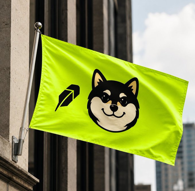 A bright yellow-green flag hangs from a building, displaying a cartoon husky face and a black geometric logo.