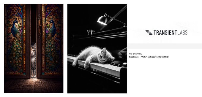 The image features two black-and-white photos of cats—one peeking through ornate peacock-decorated doors and another resting on piano keys—alongside the Transient Labs logo and a notification that user "@Quilnziz" has just received their first bid, titled "Yoko," with 2 auctions underway. This relates to the post by highlighting the "Yoko" and "Pebbles" NFT cat pieces being auctioned on Transient Labs' Ethereum platform.