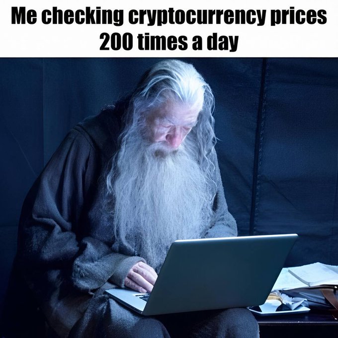An elderly, long-bearded wizard-like figure stares intently down at his laptop screen, captioned "Me checking cryptocurrency prices 200 times a day," humorously embodying the futile yet compulsive habit of obsessively refreshing price charts hoping for gains, as described in the post.