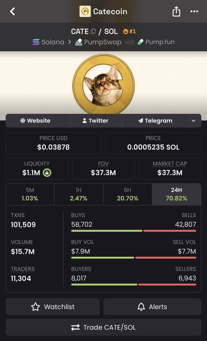 A screenshot of the Catecoin (CATE) token page on DexCheck, showing it paired with SOL on PumpSwap, with a price of $0.03878, FDV of $37.3M, and 24H volume of $15.7M.