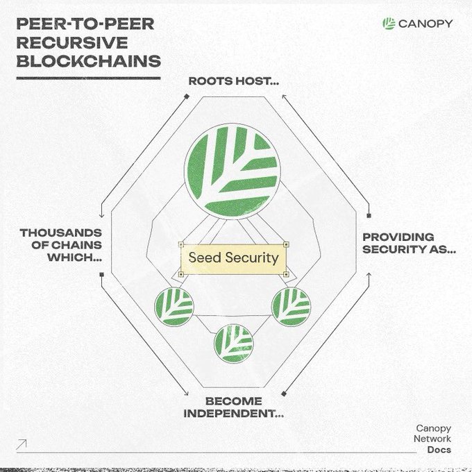 An infographic from Canopy Network illustrating their peer-to-peer recursive blockchain model, featuring a diagram with green leaf-shaped nodes connected around a central "Seed Security" hub, highlighting how the system provides security to thousands of chains that can become independent while rooting back to the host network.