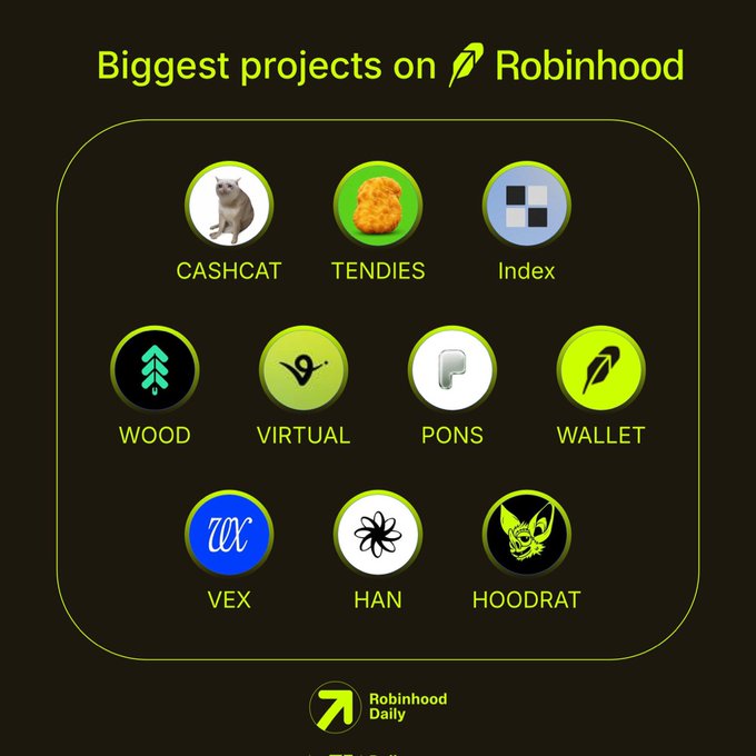 A graphic titled 'Biggest projects on Robinhood' showing icons for CASHCAT, TENDIES, Index, WOOD, VIRTUAL, PONS, WALLET, VEX, HAN, and HOODRAT, credited to 'Robinhood Daily.'