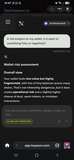 A mobile screenshot of the HeyAura app (app.heyaura.com) showing a wallet risk assessment chat, with the user asking about their wallet and receiving a response describing it as 'low-value but highly fragmented' with operational risks.
