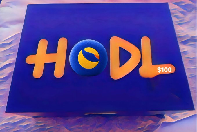 A 3D-rendered graphic spelling 'HODL' in orange letters with a blue and yellow ball replacing the 'O', displayed against a purple background with a $100 price tag.