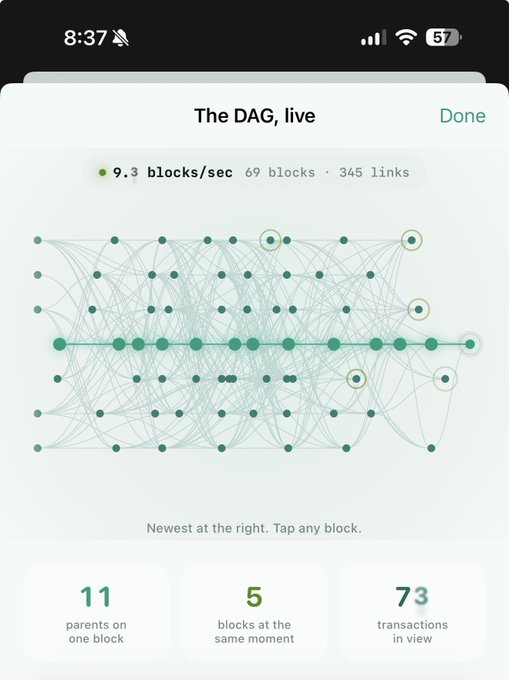 A mobile app interface titled 'The DAG, live' displaying a network graph with 9.3 blocks/sec, 69 blocks, and 345 links.