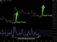 A cryptocurrency trading chart (appears to be DOGE/USDT on Binance) displays historical instances of "Doge Pump" price surges, highlighting token RSI levels in the oversold zone as buying opportunities, aligning with the post's "BUY THE DIP" call to action amid news of Trump's White House meeting with crypto leaders to discuss the Clarity Act and crypto regulation.