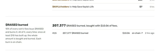 A cryptocurrency donation page showing 'RAISED burned' with '207,377 $RAISED burned, bought with $10.06 of fees', and an entry '#15 207.377 $RAISED burned $10.06 on chain 2 hrs ago'.