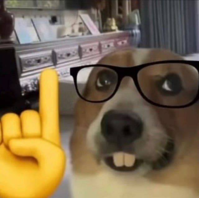 A humorous edited image of a beagle dog wearing black-rimmed glasses with a yellow cartoon pointing hand emoji overlaid, set in a room with furniture visible in the background.